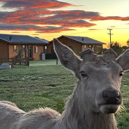 Deerbrooke Kaikoura Chalets - Chalet 2 ภายนอก รูปภาพ