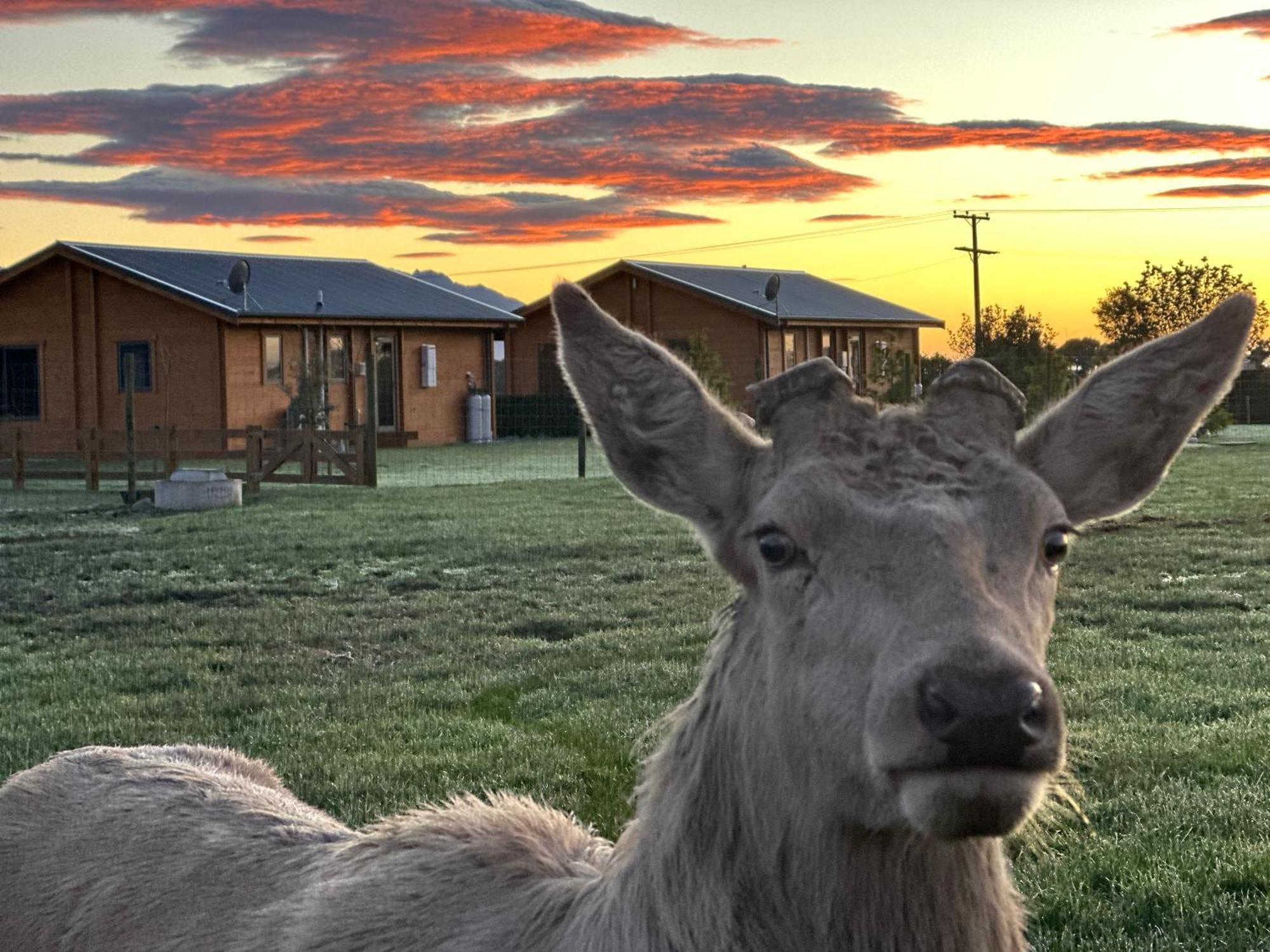 Deerbrooke Kaikoura Chalets - Chalet 2 ภายนอก รูปภาพ